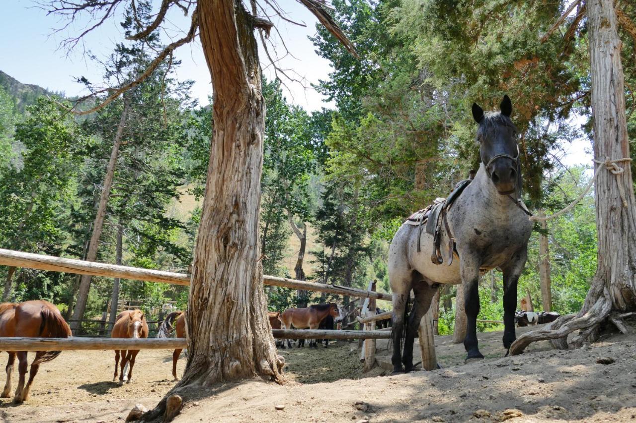 Готель Bill Cody Ranch Екстер'єр фото