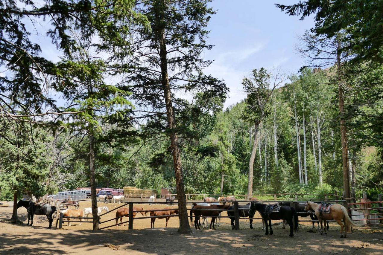 Готель Bill Cody Ranch Екстер'єр фото